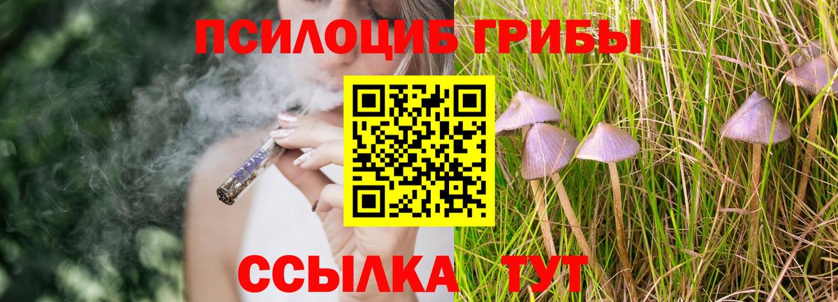 Псилоцибиновые грибы мицелий Вичуга